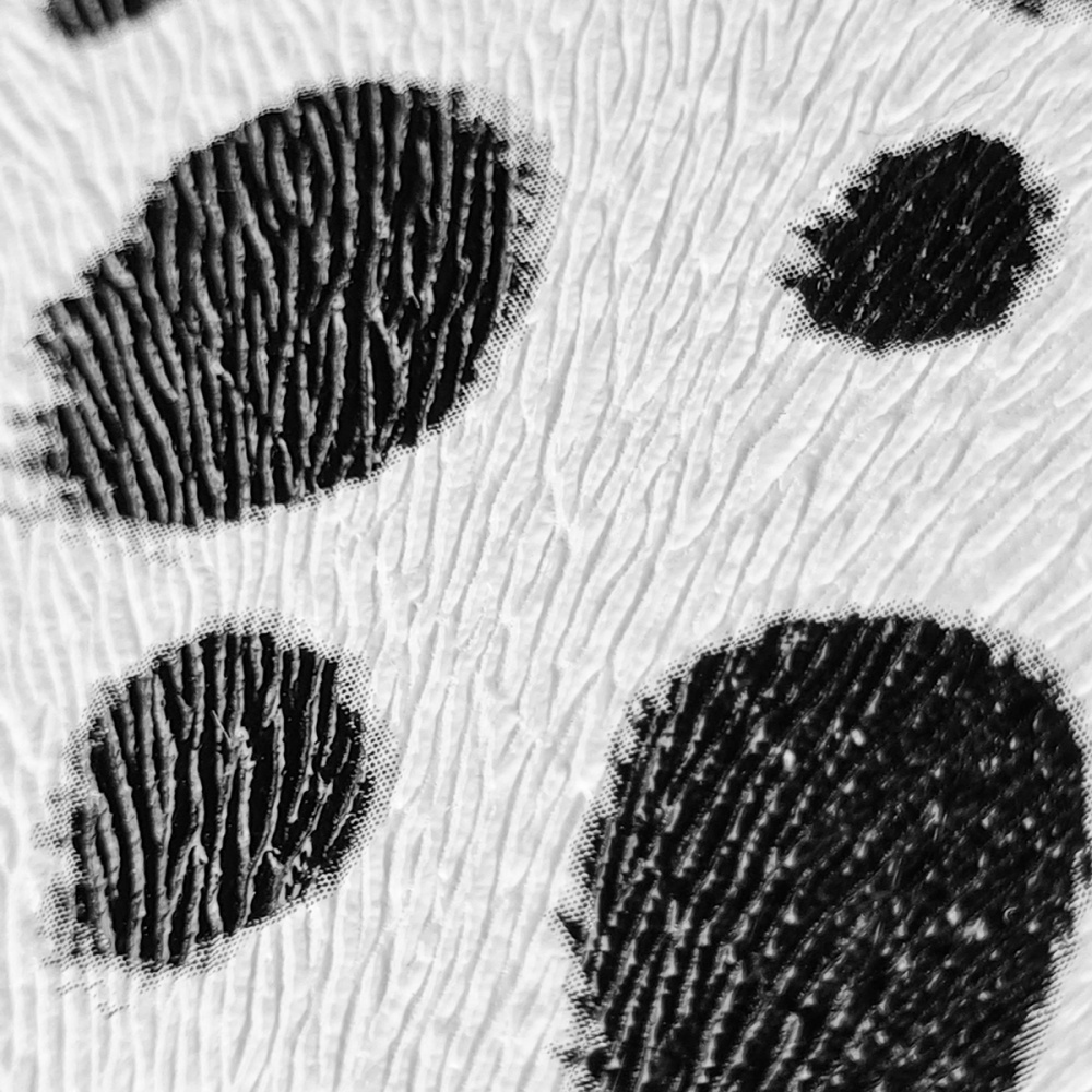 Animal Print Case iPhone 13 - фото 1